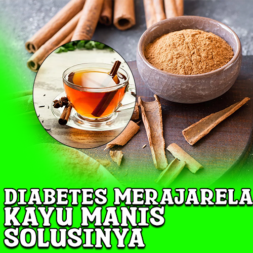 Kayu Manis - Kendalikan Diabetes Sebelum Terlambat