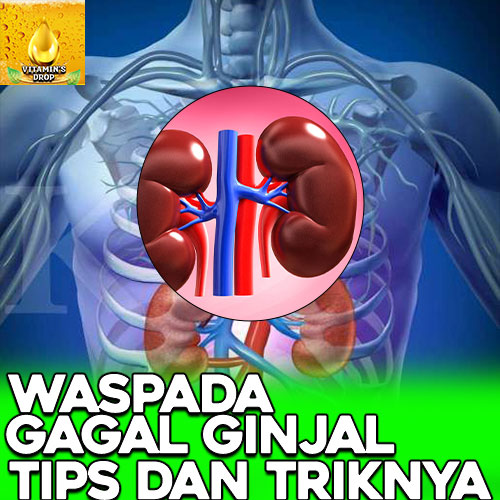 Ginjal Sehat Begini Tips dan Triknya