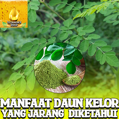 Daun Kelor – Rahasia Herbal Tersembunyi yang Jarang Diketahui