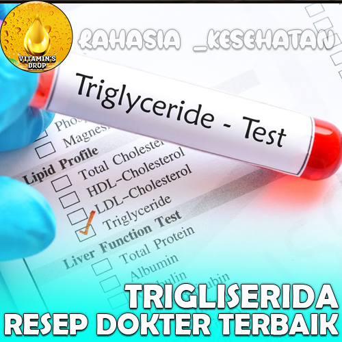 Trigliserida – pengertian dan obat resep dokter