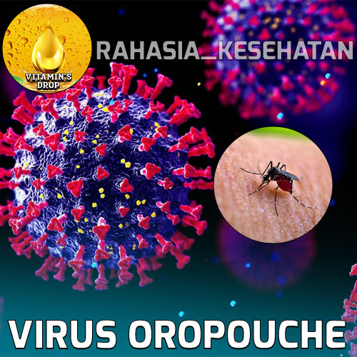 Virus Oropouche Penyerang Mematikan yang Baru Ditemukan