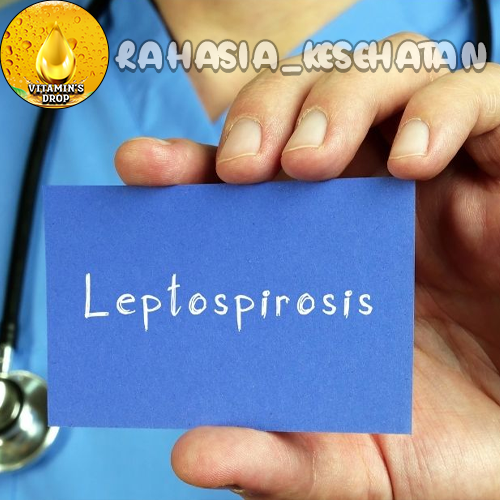 Leptospirosis Penyakit Mematikan yang Jarang Diketahui