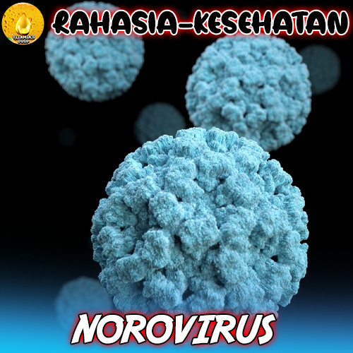 Norovirus: Kenali Bahaya dan Penyebarannya