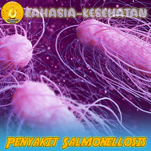 Penyakit Salmonellosis: Kenali Lebih Dalam