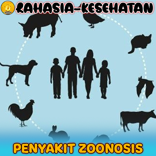 Waspada Penyakit Zoonosis: Simak Penularan dan Pencegahannya