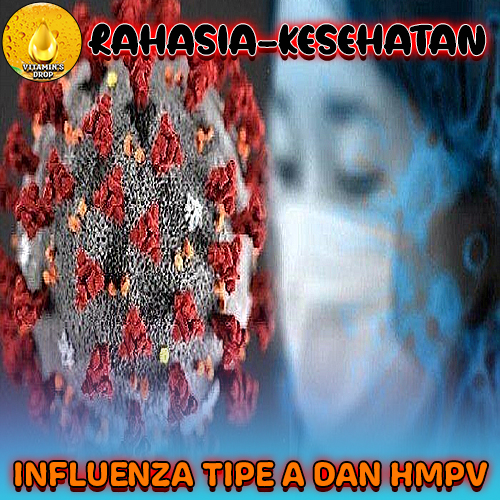 Influenza Tipe A dan HMPV ( Human Metapneumovirus )