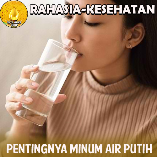 Pentingnya Minum Air Putih Bagi Kesehatan