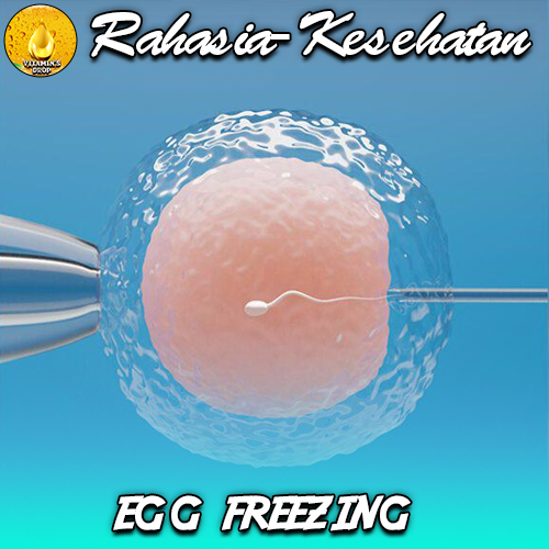 Egg Freezing – Sel Telur Bisa Disimpan? Ayo Simak!