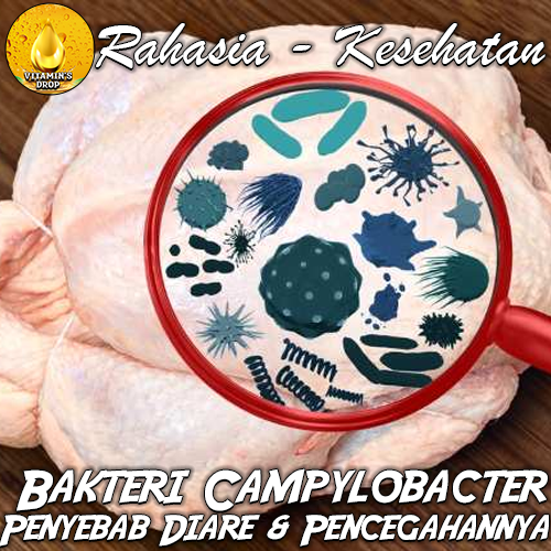 Bakteri Campylobacter: Simak Penyebab Diare dan Cara Pencegahannya