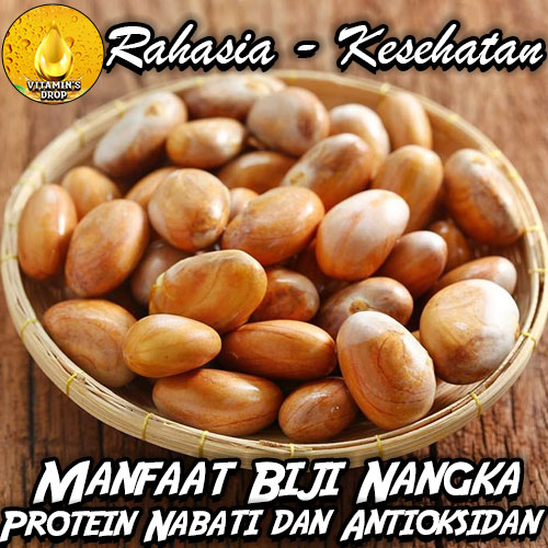 Manfaat Biji Nangka: Sumber Protein Nabati dan Antioksidan Alami