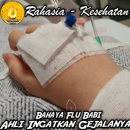 Bahaya Flu Babi: Ahli Ingatkan Gejalanya