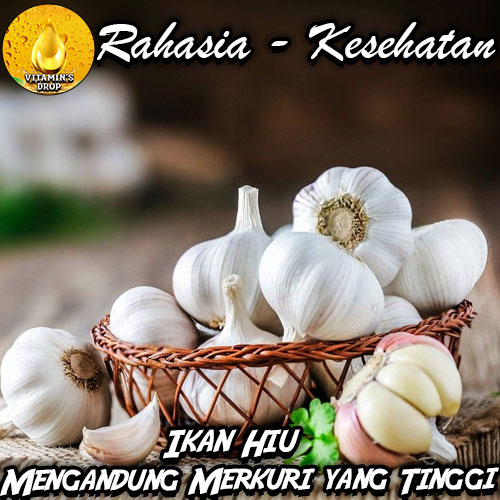 Hati – hati Ini Efek Samping Konsumsi Bawang Putih Berlebihan