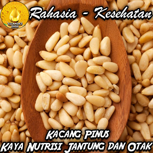 Manfaat Kacang Pinus: Si Kecil yang Kaya Nutrisi untuk Jantung dan Otak