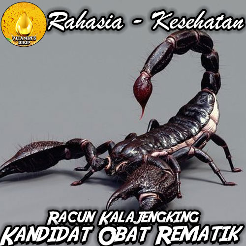 Racun Kalajengking: Kandidat Obat Rematik Masa Depan yang Mulai Dilirik Ilmuwan