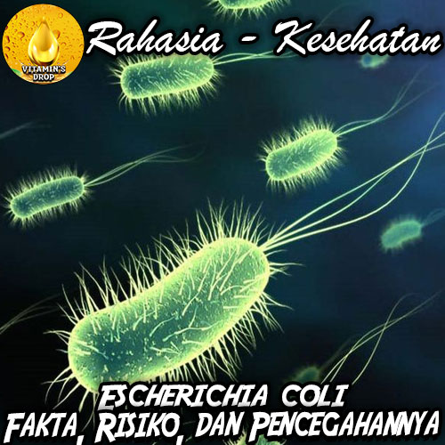 Mengenal Bakteri Escherichia coli atau E. coli: Fakta dan Risiko
