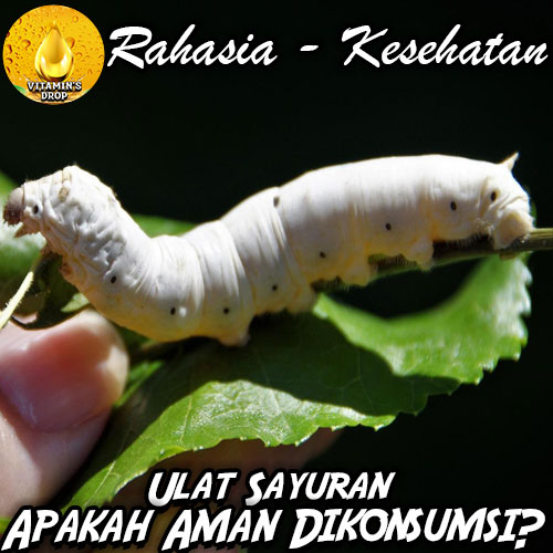 Apakah Ulat di Sayuran Aman Dikonsumsi? Ini Penjelasan Lengkapnya